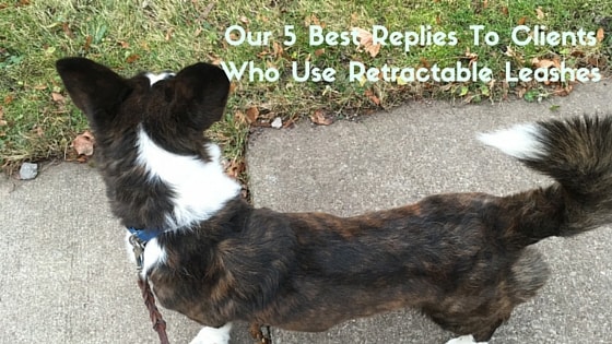 Our 5 Best Replies To Clients Who Use Retractable Leashes-min