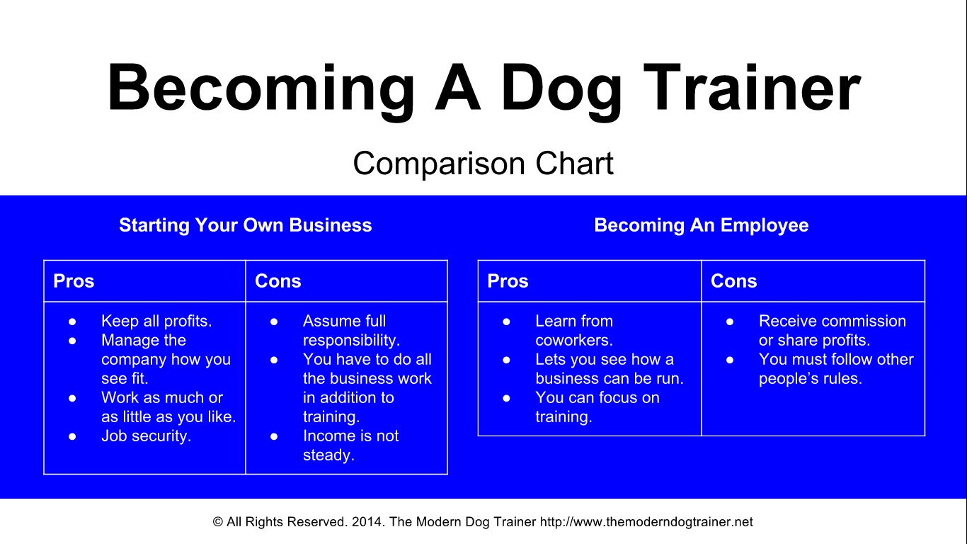 becoming a dog trainer
