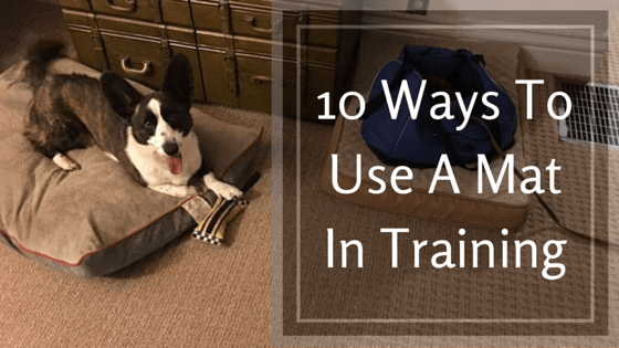 10 Ways To Use A Mat In Training