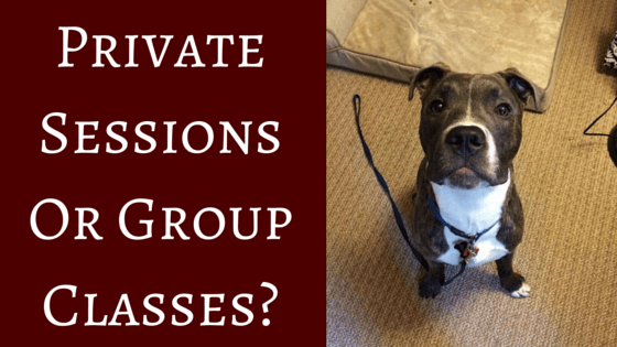 Private Sessions Or Group Classes?