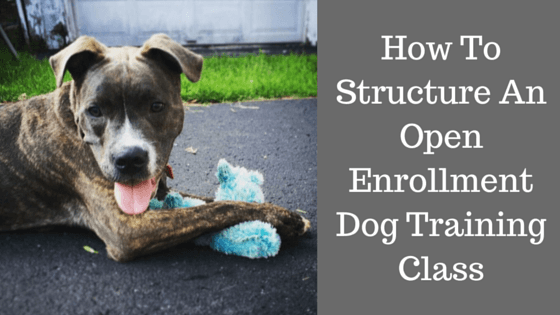How To Structure An Open Enrollment Dog Training Class