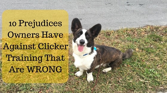 clicker training