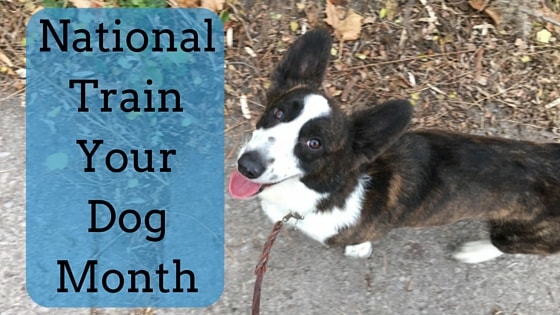 National Train Your Dog Month-min