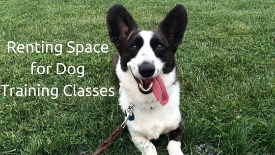 Renting Space for Dog Training Classes