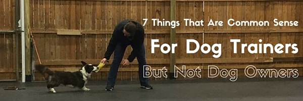 7 Things That Are Common Sense for dog trainers but not dog owners-min