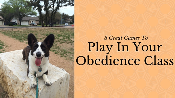 Play In Your Obedience Class