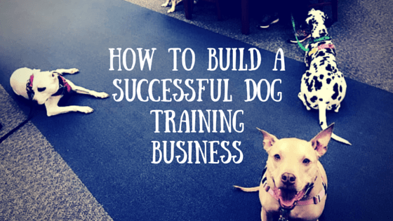 dog training business