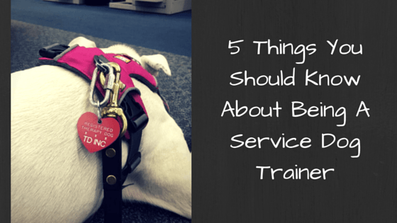service dog trainer