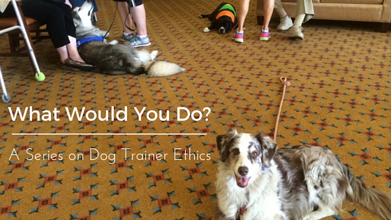 A Series on Dog Trainer Ethics