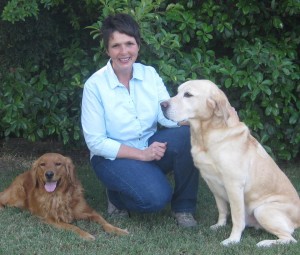 Karen with Cassidy (Golden Retriever) and Rock (Labrador Retriever)