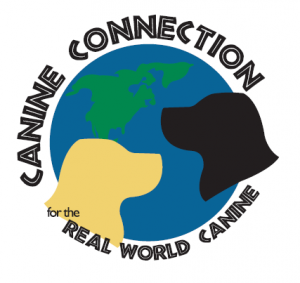 Canine Connection for the Real World Canine