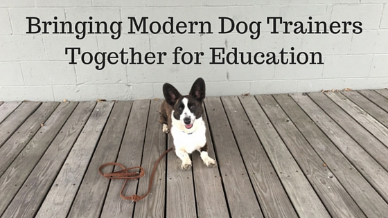 Bringing Modern Dog Trainers Together for Education