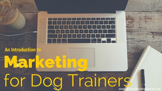 marketing for dog trainers - tips!