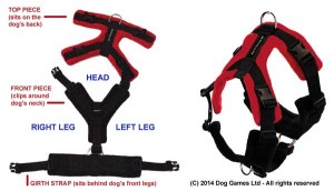 Perfect Fit Harness pieces