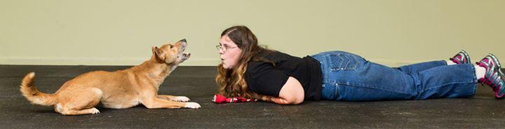 Molly sumner training primitive dogs-min