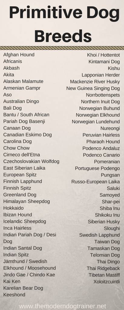 Primitive Dog Breeds Chart