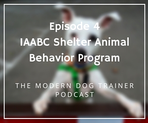 The IAABC shelter animal behavior program