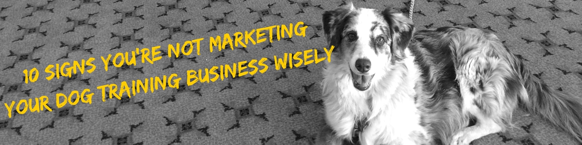 marketing your dog training business wisely is key for longterm success