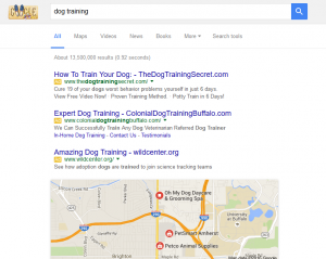 importance of getting indexed by google for your dog training business
