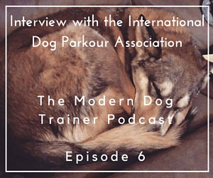 interview with the international dog parkour association