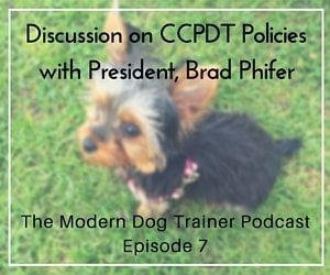 Discussion on CCPDT policies with brad phifer