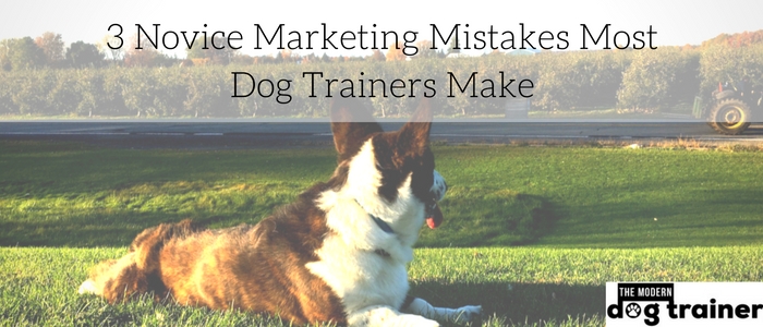  Marketing Mistakes Dog Trainers Make