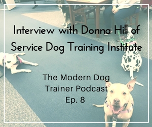 modern service dog training