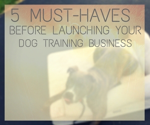 Templates for Your Dog Training Business