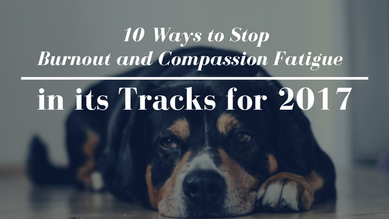 Compassion Fatigue in Pet Professionals