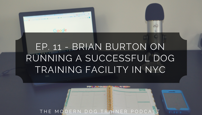 Brian Burton on Running a Successful Dog Training Facility in NYC