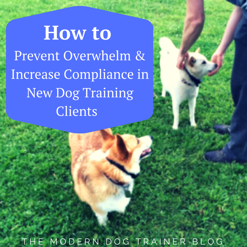 tips for working with dog training clients