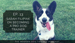 Ep. 13 – Sarah Filipiak, CDBC, on Becoming a Pro Dog Trainer