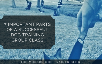 7 Important Parts of a Successful Dog Training Group Class