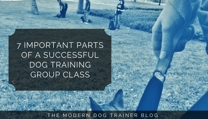 7 Important Parts of a Successful Dog Training Group Class