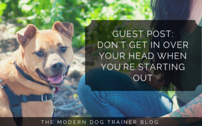 Guest Post: Don’t Get In Over Your Head When You’re Starting Out