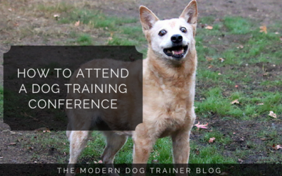 How to Attend a Dog Training Conference