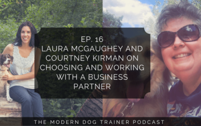 Ep 16 – Laura McGaughey and Courtney Kirman on Choosing and Working With a Business Partner