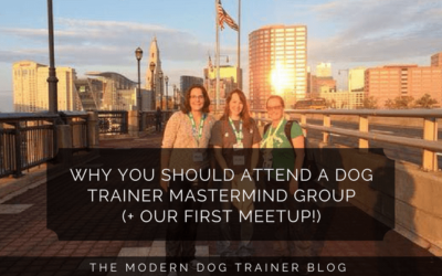 Why You Should Attend A Dog Trainer Mastermind Group (+ Our First Meetup!)