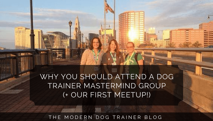 Why You Should Attend A Dog Trainer Mastermind Group (+ Our First Meetup!)