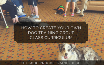 How to Create Your Own Dog Training Group Class Curriculum