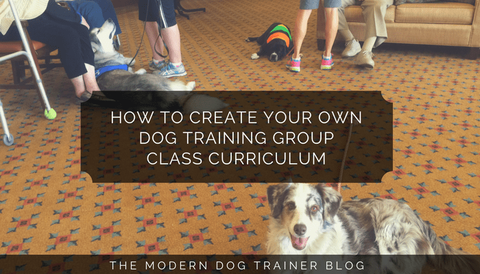 dog training group class curriculum creation