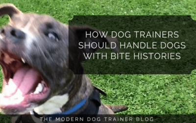 How Dog Trainers Should Handle Dogs With Bite Histories