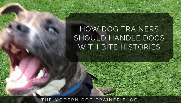 How Dog Trainers Should Handle Dogs With Bite Histories