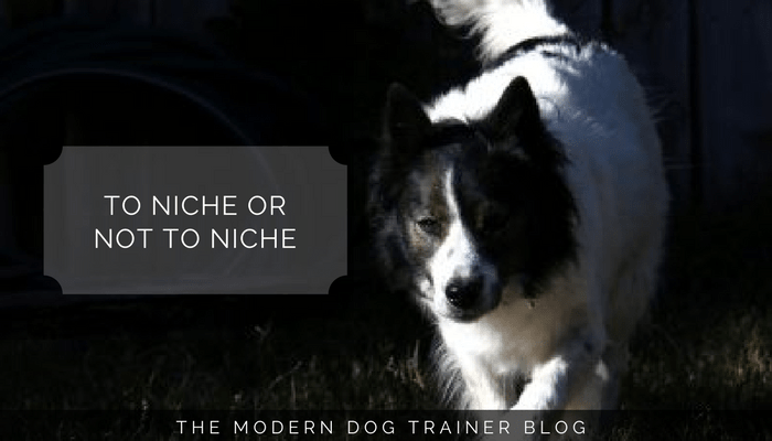 how to find a niche in dog training