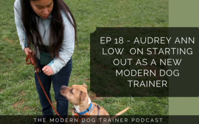 Ep 18 – Audrey Ann Low  on Starting Out as a New Modern Dog Trainer