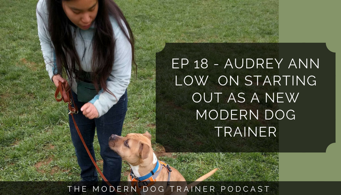 Ep 18 – Audrey Ann Low  on Starting Out as a New Modern Dog Trainer