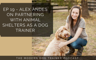 Ep 19 – Alex Andes on Partnering with Animal Shelters as a Dog Trainer