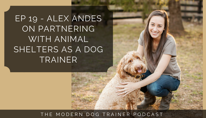 Ep 19 – Alex Andes on Partnering with Animal Shelters as a Dog Trainer