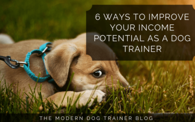 6 Ways To Improve Your Income Potential As A Dog Trainer