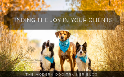 Finding The Joy In Your Clients